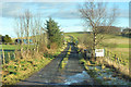 Farm road to Cot Bank