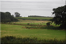 TM2536 : Farmland, Trimley Marshes by N Chadwick