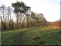 Esk Valley Walk approaching Fitts Steps