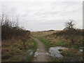 The Noddle Hill Nature Reserve, Bransholme, Hull