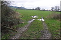 Farmland at Colethorpe