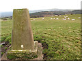 Mynydd Llanelian Trig