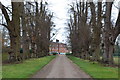 Avenue of trees leading to Cumberland Lodge