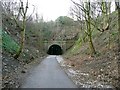 Approach to the eastern portal of the Earlsheaton tunnel