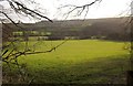 Field in Esk Dale