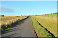 Minor road near Drumlithie