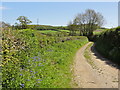 Farm Track near Haswell