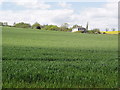 Over the Field to Halsworthy