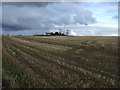 NZ3824 : Farmland towards Whitton Moor Farm by JThomas