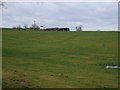 NZ3523 : Farmland towards Elstob Hill by JThomas