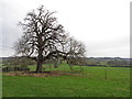 Countryside near Broadway