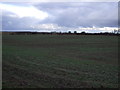 Farmland north of Mordon