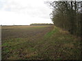 View towards Skellingthorpe Moor Plantation