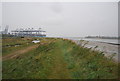 TM2535 : Stour and Orwell Walk, Trimley Marshes by N Chadwick