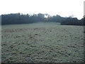ST4798 : Frosty field by Jeremy Bolwell