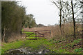 Footpath to Toppinghoehall Wood and Toppinghoe Hall