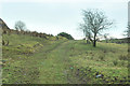 NS3770 : Farm track near West Glen Farm by Steven Brown