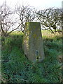 Sutton trig in detail