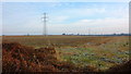 Electricity Pylons near Winwick