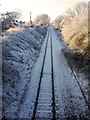 Train tracks in the snow