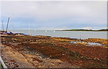 J5182 : Ballyholme Bay seen from Seacliff Road, Ballyholme, Bangor by P L Chadwick