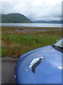 Inverie: car with a puffin on its bonnet