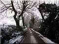 Stump Cross Lane