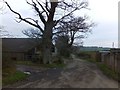 Farm buildings at Swallowtree