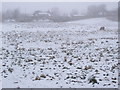 Pasture land in Slipton