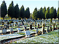 A cold day in Hawkinge Cemetery