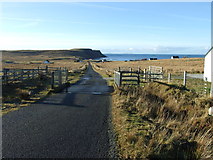 NG3770 : Cattle grid on the Bornesketaig road by Dave Fergusson