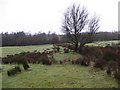 Tattysallagh Townland