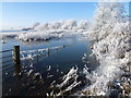 TL5293 : Flooded and frozen - The Ouse Washes near Welney by Richard Humphrey