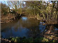 Rothley Brook in the Castle Hill Country Park