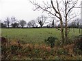 Tattykeel Townland