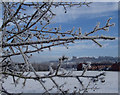 SK4670 : Hoar frost and view to Bolsover by Andrew Hill