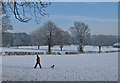 Snow-covered cricket ground, Old Malton