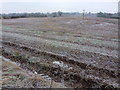 Frozen fields between Hawarden and Little Mancot