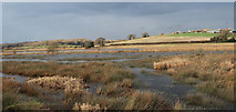 TQ7610 : Flooded fields south of Hillcroft Farm by Oast House Archive