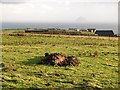 Field, West Bennan