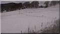 Snowy fields, Cnwch Coch