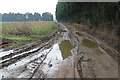 Muddy Farm Track off Boston Road