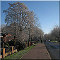 A January morning on Cherry Hinton Road