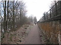 NY9265 : By-way between Railway Line and River Tyne by Les Hull