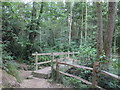 Footbridge over Jarvis Brook