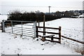 Stile on the path to the spinney