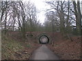 SD5164 : Bridge on the path west of Crook o' Lune by John Slater