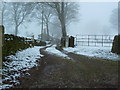 Road to Yew Tree Farm