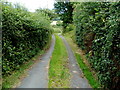 Lane to Fir Croft Gardens, Talgarth