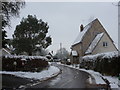 Melbury Osmond: Brakes Hill in the snow